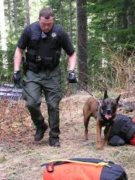 Police dog puts end to wild chase