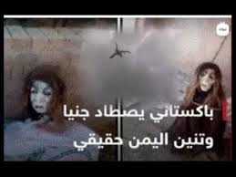 فيديو ستاني يصطاد جنيا والتنين في اليمن ومصر حقيقي ولكن in 2021 movie posters incoming call screenshot poster