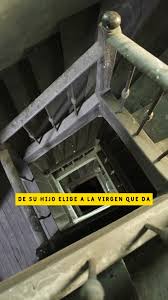 Image result for Nicolasia