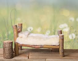 This collection of artificial outdoor trees includes palm trees, hedges, cedar trees, maples, flowers, and so much more. A Newborn Bed Studio Digital Prop Made From Japanese Maple Tree Branches With A Dandelion Green Meadow Nature Background Stock Image Image Of Bedspread Meadow 95930833