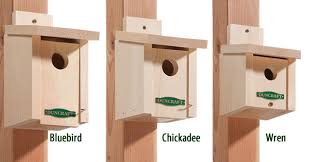 Pdf download link will be sent to your email. Duncraft Com Duncraft Bestbasic Bird House Set