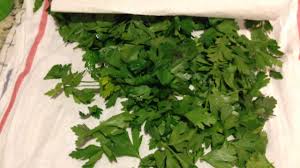 You can help it along by patting it dry with a paper towel.2 x research source be gentle, so the leaves don't break. How To Freeze Parsley Youtube