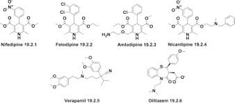 calcium channel blocker an overview sciencedirect topics