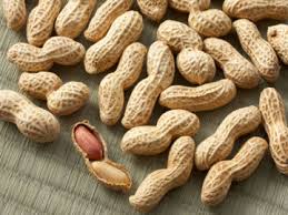 Image result for kacang tanah
