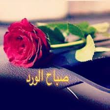 وأشرقت الأرض بنور ربها فسبحان الله من تنفس الصبح بأمره ربنا بك أصبحنا وعليك توكلنا اللهم صبح احبتي بما يسرهم وكف عنهم ما يضرهم صباح الخير
