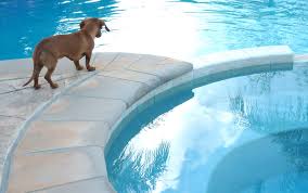 Drinking Swimming Pool Water In An Emergency Safe To Drink