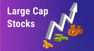 A Beginner'S Guide To Investing In Large Cap Mutual Funds