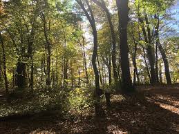 Myre big island state park. The Who Cares State Park Review Of Myre Big Island State Park Albert Lea Mn Tripadvisor