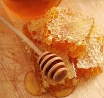 Как хранить мед в сотах: условия и сроки хранения сотового ...