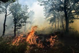La syntaxe de la fonction aujourdhui ne comporte aucun argument. France Incendies Dans Le Sud 7000 Hectares Brules 12000 Evacuations