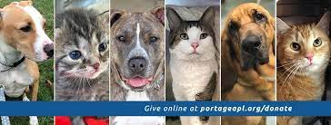We provide shelter to lost animals until we are able to reunite them with their owners and help stray pets find their new homes. Portage Animal Protective League Home Facebook