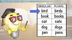 Proper nouns are spelled with capital letters list of nouns person mom, dad, sister, brother, uncle, aunt, cousin, lady, woman, girl, boy, man, baby, teacher, lawyer, bus driver, dance teacher, coach, grandma, grandpa, … Singular Plural Nouns Lesson For Kids Video Lesson Transcript Study Com