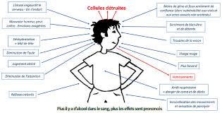 Information sur l'alcool, ses effets et les risques liés à sa consommation. L Alcool Ses Effets