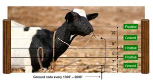 42 inch tall x 164 foot long roll will control goats, sheep and other small livestock and repels coyotes, foxes, dogs and bears. Electrobraidfence Com Goat Fences