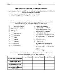 Check spelling or type a new query. Invertebrates Worksheet Teachers Pay Teachers