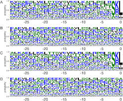 The alphabet in daily life. Plos One Ppero A Computational Model For Plant Pts1 Type Peroxisomal Protein Prediction