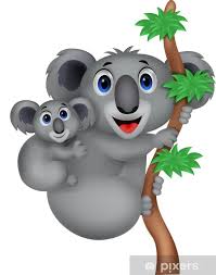 After giving birth, a female koala carries her baby in her pouch for about six months. Fototapete Mutter Und Baby Koala Pixers Wir Leben Um Zu Verandern