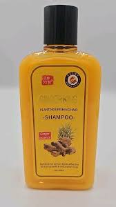 Ginger King Anti Hair Loss Shampoo for Hair Regrowth, Thickening 280ML