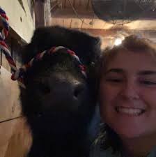 For those who have an "extra" show steer that can't be sold at your fair's  auction, what are folks getting per pound? Example: you have 4 animals, 2  kids and each kid