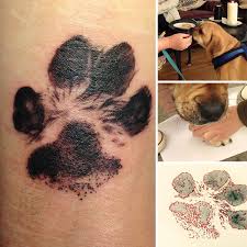 Www.google.cz tatto tlapky / www google cz tatto tlapky jednorozec dubai khalifa po navratu omyjte pejskovi tlapky vlaznou vodou a dobre osuste jscartblogstgeorge : Galerie Tetovani Podle Psich Tlapek Koule Cz Lifestyle V Kostce Nebo Spis V Kouli