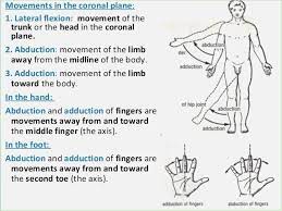 Movements In The Coronal Plane Learn Biology Android App Human Anatomy Learn Biology Body Anatomy