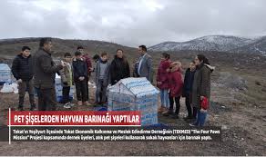 Pet Siselerden Hayvan Barinagi Yaptilar Tokat Gazetesi