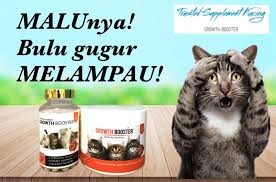 Ternyata bahaya bulu kucing yang tertelan. Kenapa Bulu Kucing Gugur Trusted Supplement Kucing Facebook