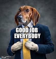 Getting some recognition with a pat on the back or a thumbs up is nice, but nothing says 'great job' like these great job memes. How Was I As T Mod Off Topic Dogs With Jobs Job Memes Good Job