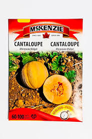 Watermelon seeds, garden leader monster. Mckenzie Seeds Catalogue Vegetable