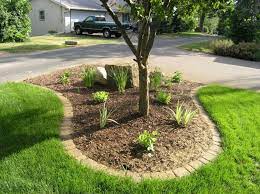 Ascendting flexible plastic lawn edging. Lawn Edging Ideas To Keep Grass Out Lawngrasscare Landscape Edging Landscaping With Rocks Lawn Edging
