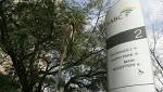 technically insolvent‚ admits SABC