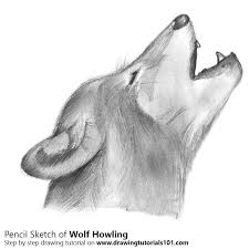 Free shipping on us orders over $10! Easy To Draw Wolf Howling At The Moon Novocom Top