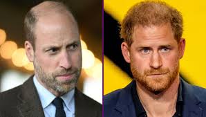 Sad reason Prince Harry didn't attend friend's wedding as Charles, Lord  Vivian, speaks out