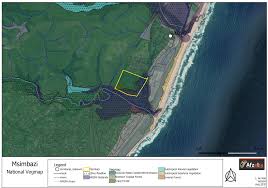 Image result for Dissotis anchietae