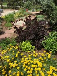 Is a landscape design company dedicated to creating outdoor spaces that are. Demonstration Gardens Boulder County Extension