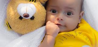 Compliment them with these cute and cuddly bears and make them feel special with our cute. National Teddy Bear Day Why Teddy Bears Are An Important Part Of Growing Up Family Corner