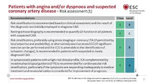 Commentary On The New Esc Guidelines On Chronic Coronary Syndromes