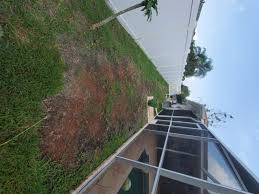 Spray upper and lower leaf surfaces and stems until thoroughly wet. Sevin Ready To Use Spray Garden Insect Killer 32 Fl Oz Walmart Com Walmart Com