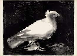 Taube zeichnung picasso | bilder, radierungen & lithografien : Pablo Picasso Die Taube 1949 Lithografie Kunstmuseum Pablo Picasso Muenster C Succession Picasso Paris Vg Bild Kunst Bonn 2018 Revierpassagen