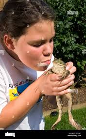 11 ada hi-res stock photography and images