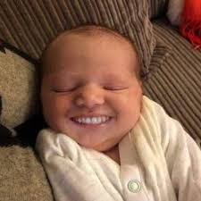 Dylan Haynes (@HungHorseHaynes)