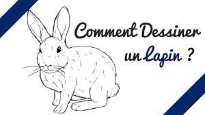 Voir plus d'idées sur le thème dessin lapin, lapin, dessin. Comment Dessiner Un Lapin Crayons Et Pinceaux