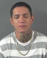 Felony and gross misdemeanor arrests