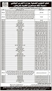 الشؤون الصحية بوزارة الحرس الوطني اعلنت عن توفر العديد من الفرص الوظيفية والتدريبية للسعوديين والسعوديات حملة (الثانوية، الدبلوم، البكالوريوس فما فوق ) وذلك وفق التعليمات والشروط الموضحة ادناه. Ù‚Ø¶Ø§ÙŠØ§ Ø§Ù„Ø§Ø¨ØªØ¹Ø§Ø« Twitterren Ø§Ù„Ø´Ø¤ÙˆÙ† Ø§Ù„ØµØ­ÙŠØ© Ø¨Ø§Ù„Ø­Ø±Ø³ Ø§Ù„ÙˆØ·Ù†ÙŠ ØªØ¹Ù„Ù† Ø¹Ù† ÙˆØ¸Ø§Ø¦Ù Ø¨Ù…Ø¯ÙŠÙ†Ø© Ø§Ù„Ù…Ù„Ùƒ Ø¹Ø¨Ø¯Ø§Ù„Ø¹Ø²ÙŠØ² Ø§Ù„Ø·Ø¨ÙŠØ© Ø¨Ø§Ù„Ø±ÙŠØ§Ø¶ Ø¹Ø¨Ø± Almufarrej44
