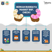 Halo Sahabat Dinas Lingkungan Hidup Dki Jakarta Facebook