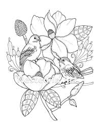 Feb 27, 2021 · printable coloring pages+birds and flowers. Punch Needle Pattern Coloring Book Page Birds With Magnolias Original Art Digital Download Coloring Books Bird Embroidery Pattern Coloring Book Pages