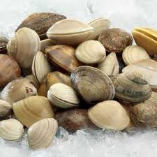 Epingle Par Guidicelli Alex Sur Palourdes Palourdes Alimentation Fruits De Mer