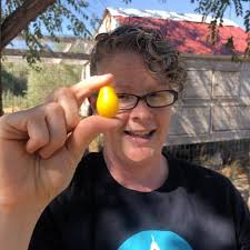 First tomato 🍅 of the year!...