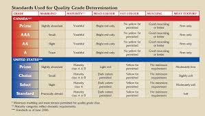 a lesson in steak intro and grading part 1 the mind of dh