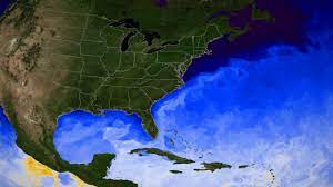 Current Temperature Of The Gulf Of Mexico Svs: Current Sea Surface Temperatures Rising In The Gulf Of Mexico